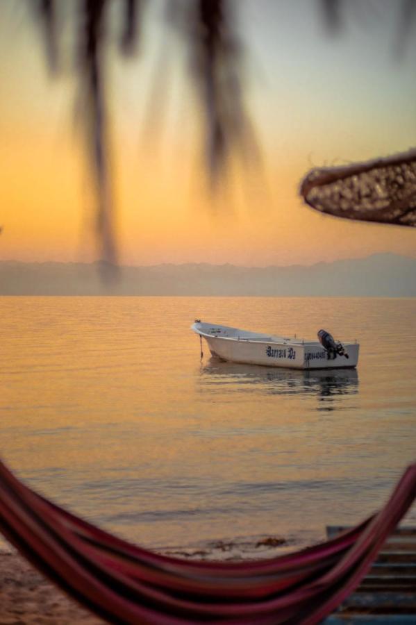 ホテル Elbadawy Camp Nuweiba` エクステリア 写真