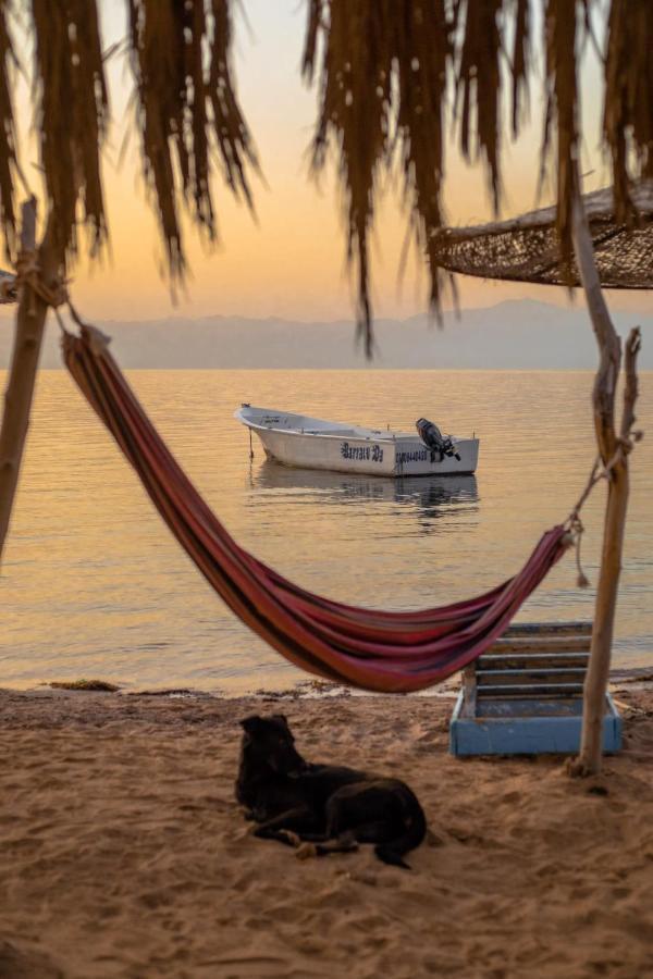 ホテル Elbadawy Camp Nuweiba` エクステリア 写真